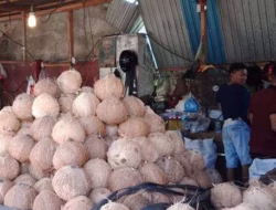 Harga Kelapa Parut di Pasar Kejambon Tegal Meroket hingga Rp 40 Ribu, Pedagang Kecil Menjerit